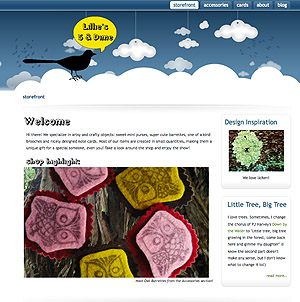 website preview