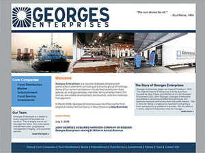 website preview