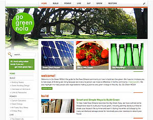 website preview
